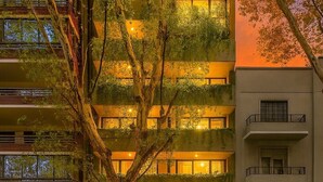 A multi-story building with balconies, large windows, and a tree in front. - Deluxe Apartments in Palermo - by BueRentals (Buenos Aires)