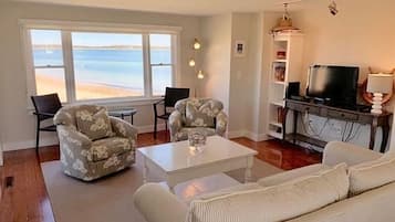 Smart TV, fireplace, DVD player, books