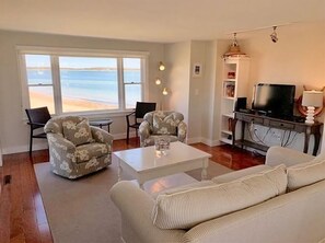 Smart TV, fireplace, DVD player, books