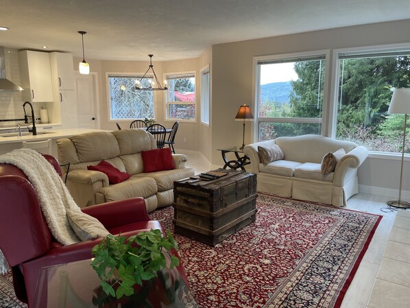 Smart TV, chimenea, libros y biblioteca musical 