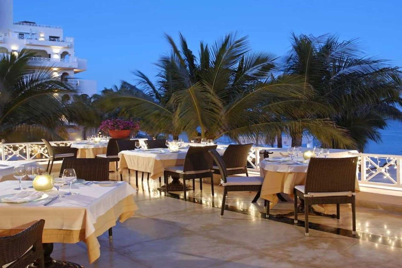 An outdoor dining area with tables and chairs, palm trees, and a view of a building.