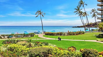 Beach/ocean view