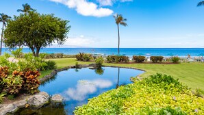 Un jardín arbolado con un estanque, palmeras y vistas al océano.