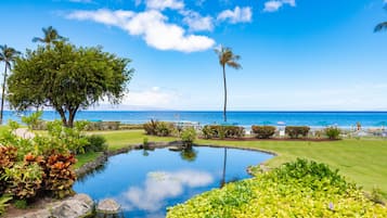 Beach/ocean view