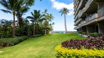 A hotel with a well-maintained lawn, palm trees, and a view of the ocean.