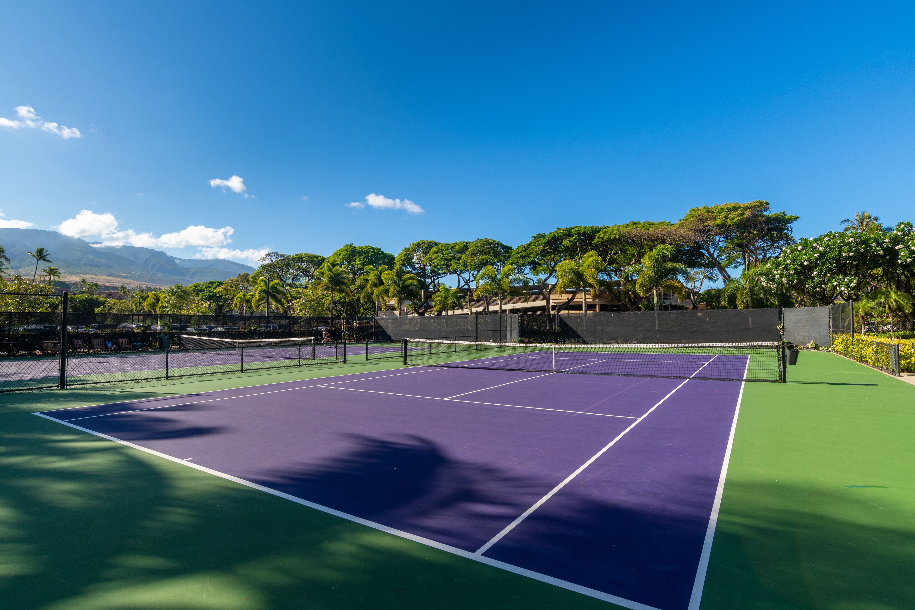 En tennisbane med net, omgivet af træer og en klar himmel.