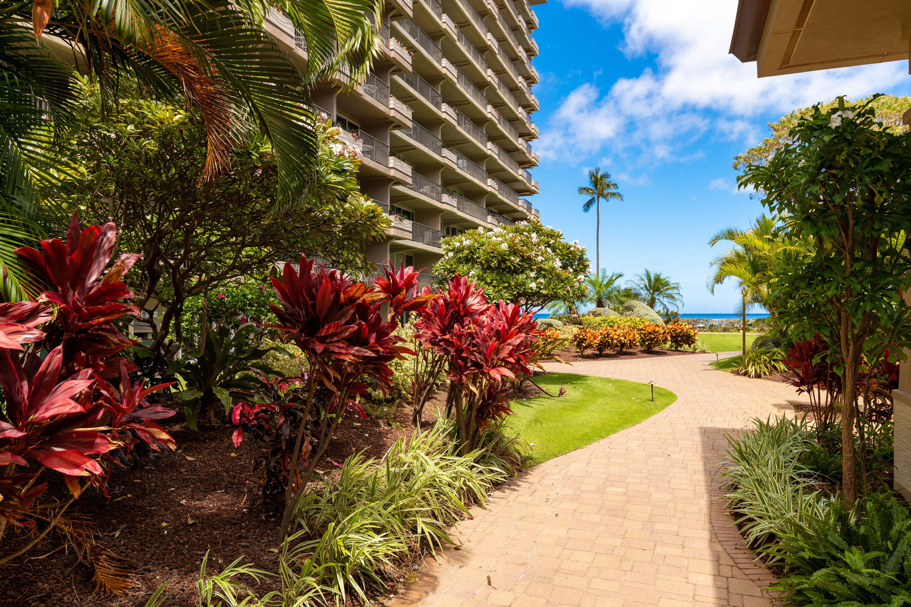 A hotel with a paved walkway, lush tropical plants, and a clear view of the ocean.