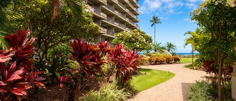 A hotel with a paved walkway, lush tropical plants, and a clear view of the ocean.