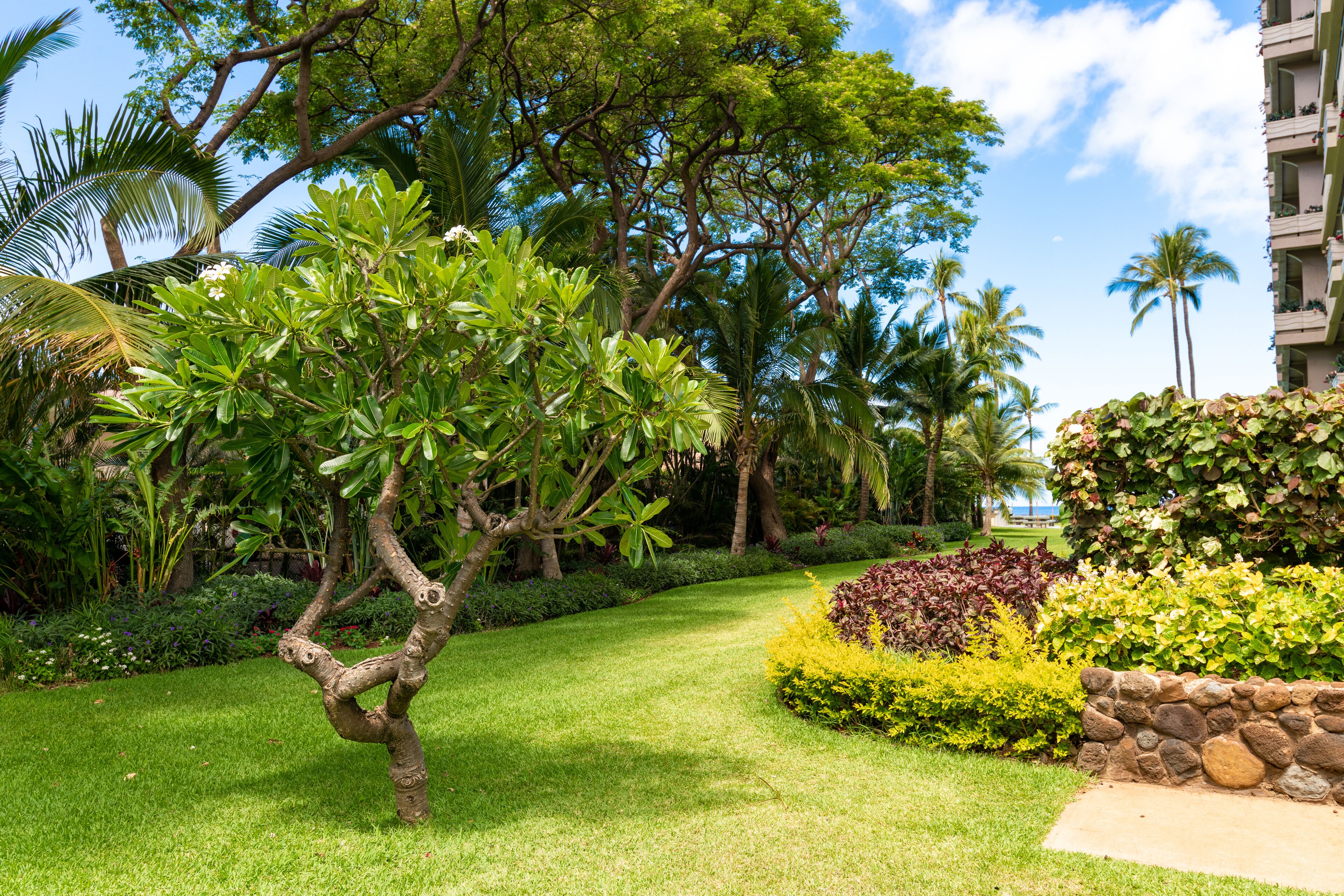 Un jardin bien entretenu, agrémenté de diverses plantes tropicales, d’un mur de pierre et offrant une vue dégagée sur l’océan en arrière-plan.