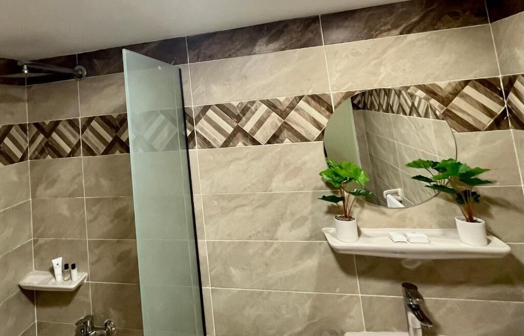 Un baño con espejo, dos plantas en macetas y un estante con artículos de aseo.