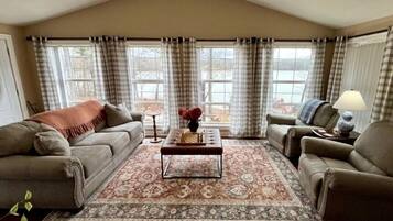 Smart TV, fireplace, books, stereo