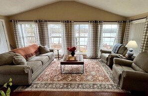 Smart TV, fireplace, books, stereo