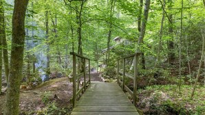Un pont en bois, situé dans une zone boisée, avec un sentier de terre menant à un bâtiment.