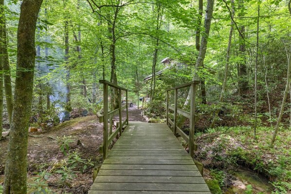 Property grounds - Beech Timber- 30 Acre Secluded Glamping in RRG! (Lee County)