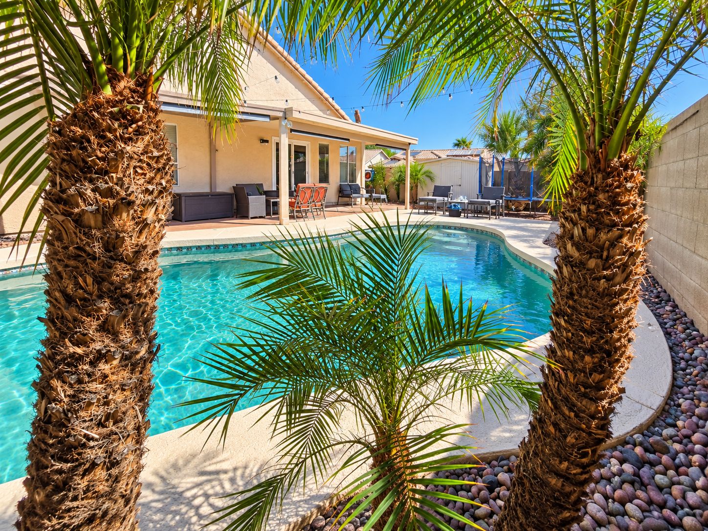 A swimming pool with palm trees, a covered patio, and a building with outdoor seating.