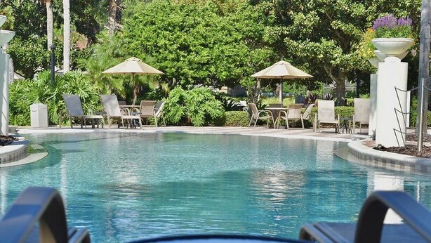 A pool area with lounge chairs and umbrellas, surrounded by lush greenery.
