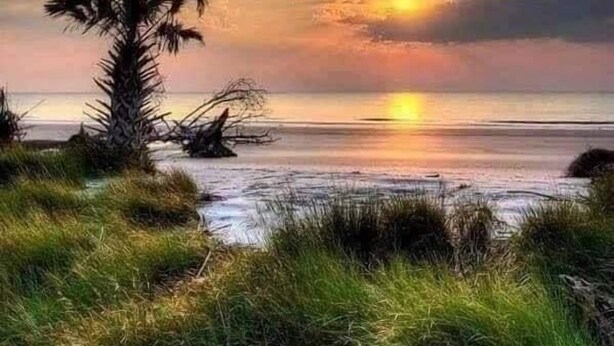 A sunset over a beach with palm trees and grass. - Blessed Rest (Edisto Island)