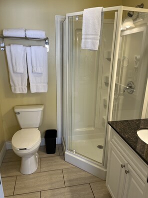 Hair dryer, towels, shampoo, toilet paper