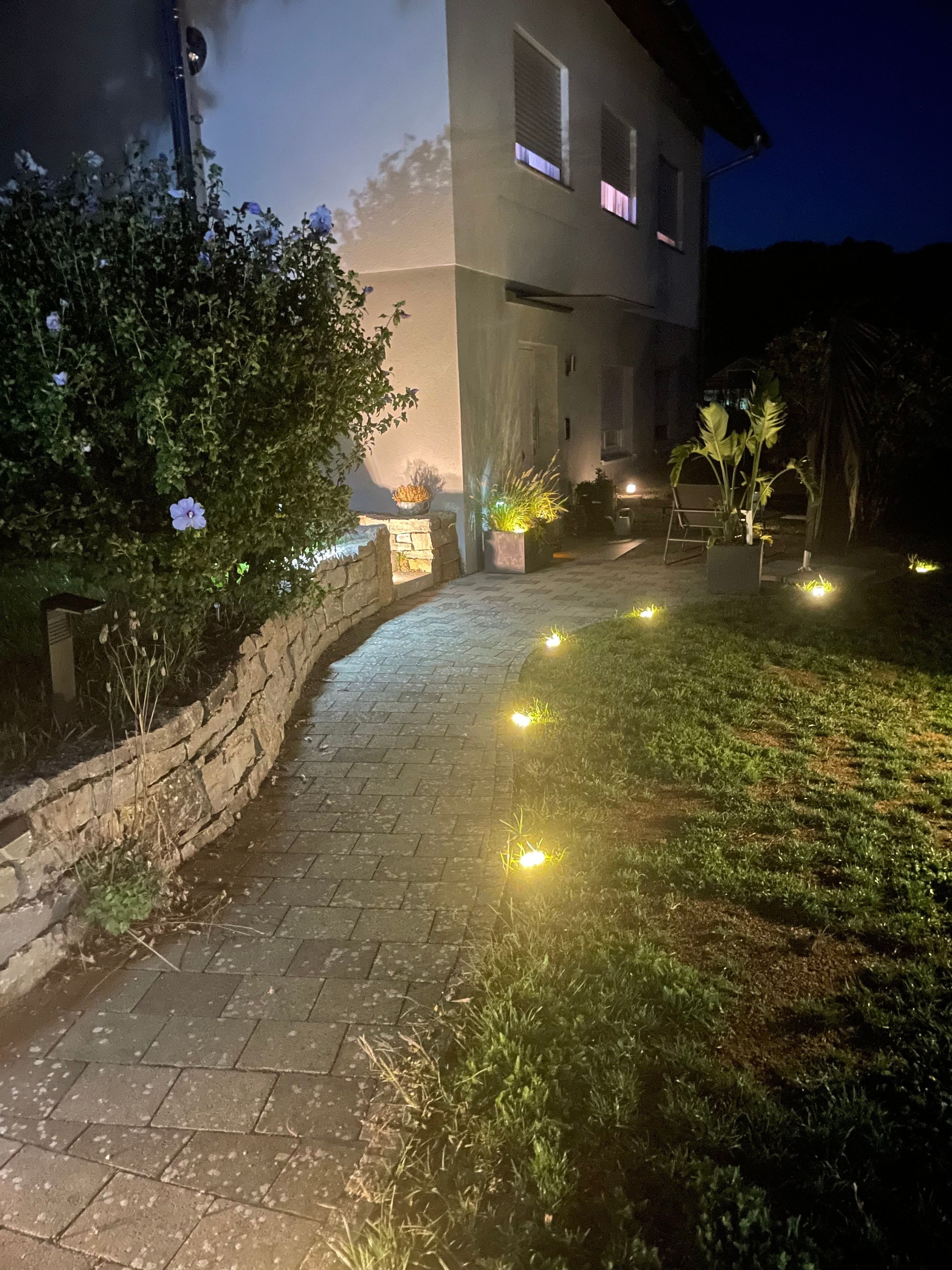 A paved pathway leading to a building with a stone wall on one side and potted plants on the other.