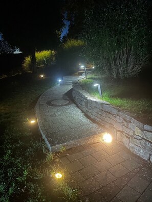 A nighttime pathway with stone steps and surrounding greenery, illuminated by ground lights.