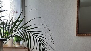 Una habitación con una planta grande en maceta, un armario blanco con varios compartimentos, una alfombra estampada y un espejo en la pared.