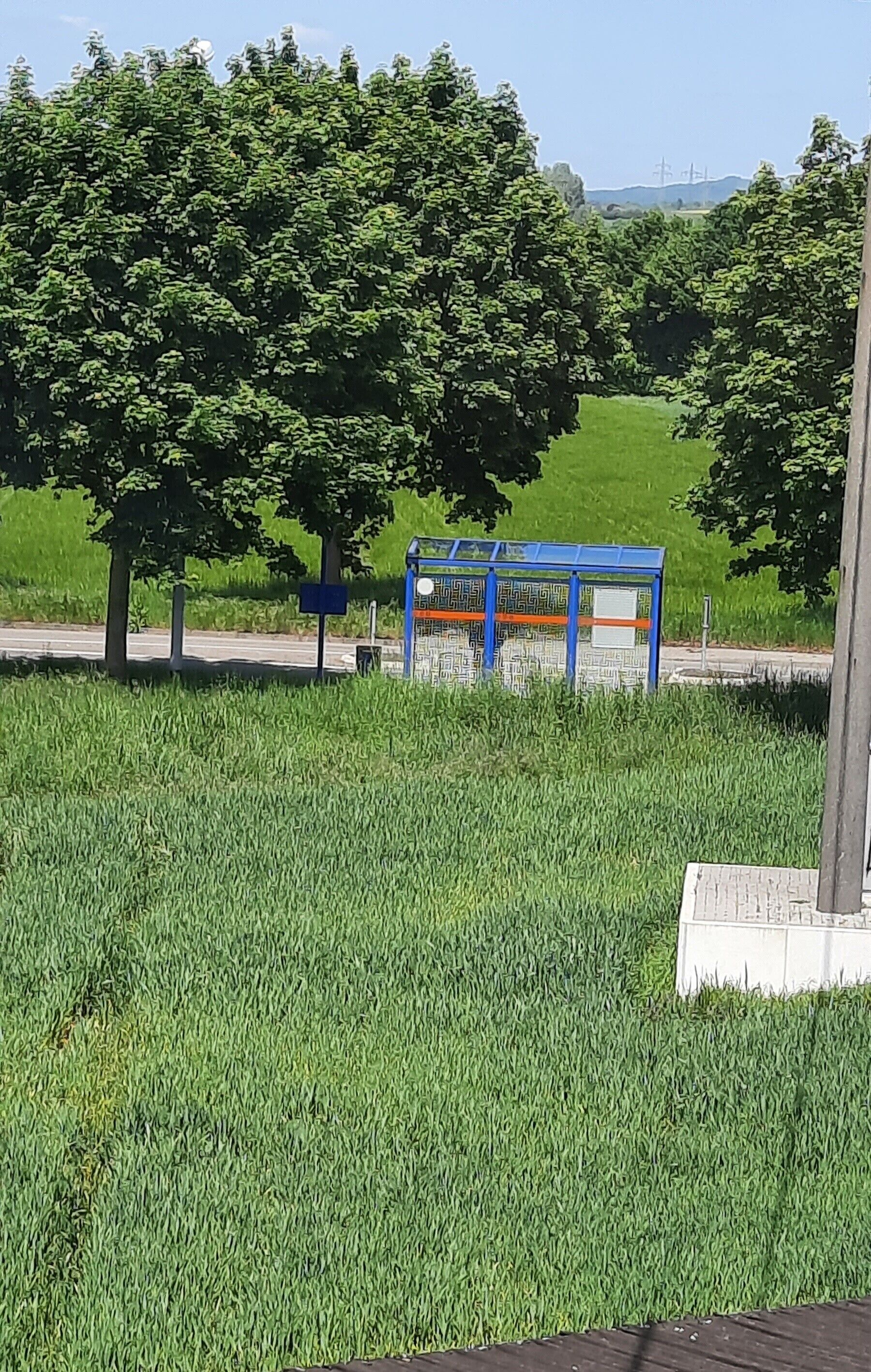 Una parada de autobús con un refugio azul, rodeada de césped y árboles.