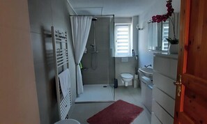 Douche, séchoir à cheveux, serviettes fournies