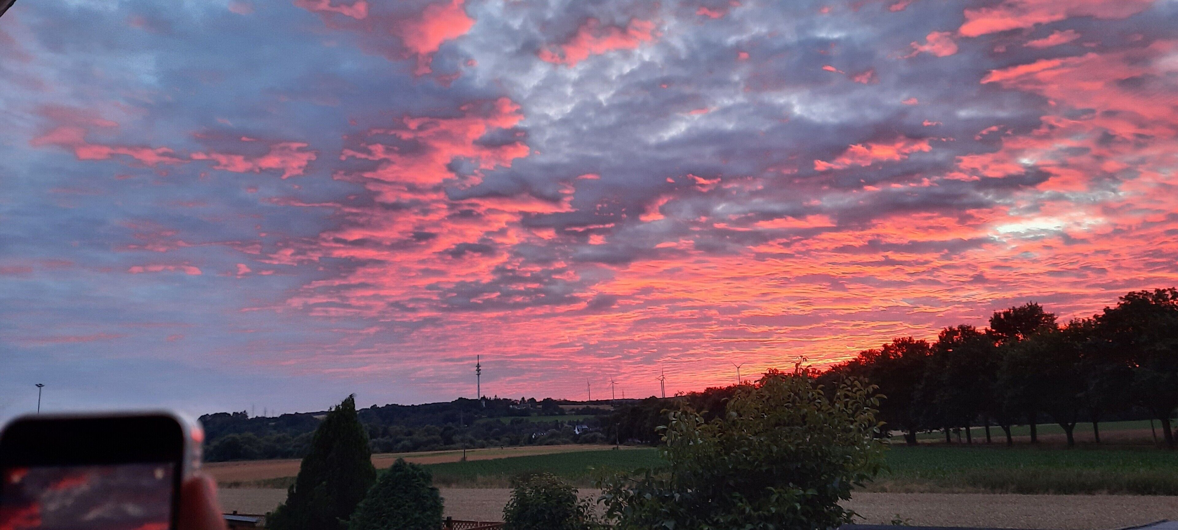 Un coucher de soleil avec un ciel aux teintes roses et violettes, un champ et des arbres au premier plan.