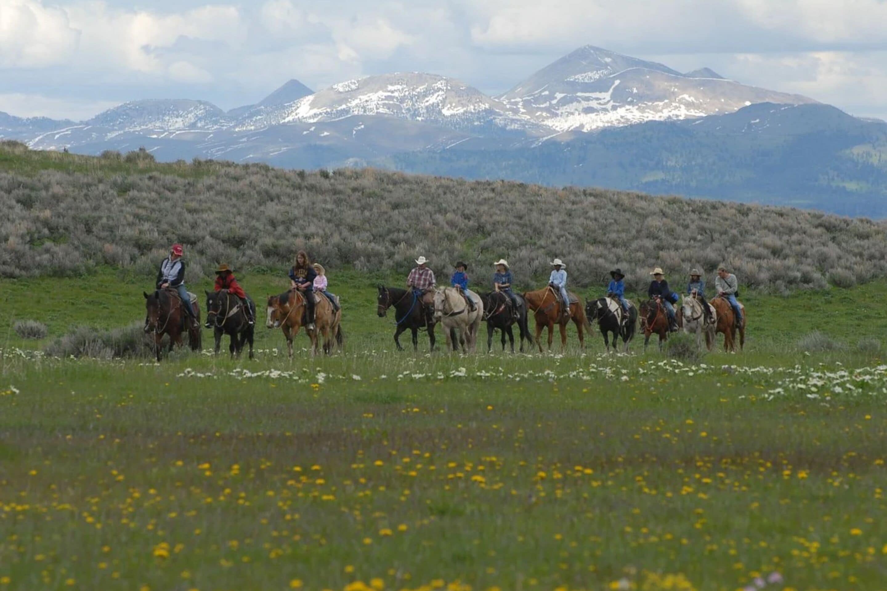 Un groupe de personnes à cheval dans un champ verdoyant, avec des montagnes en arrière-plan.