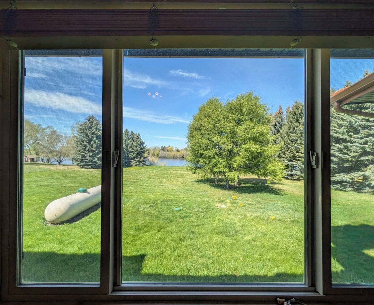 Vista a través de una ventana con césped, árboles y un cuerpo de agua.
