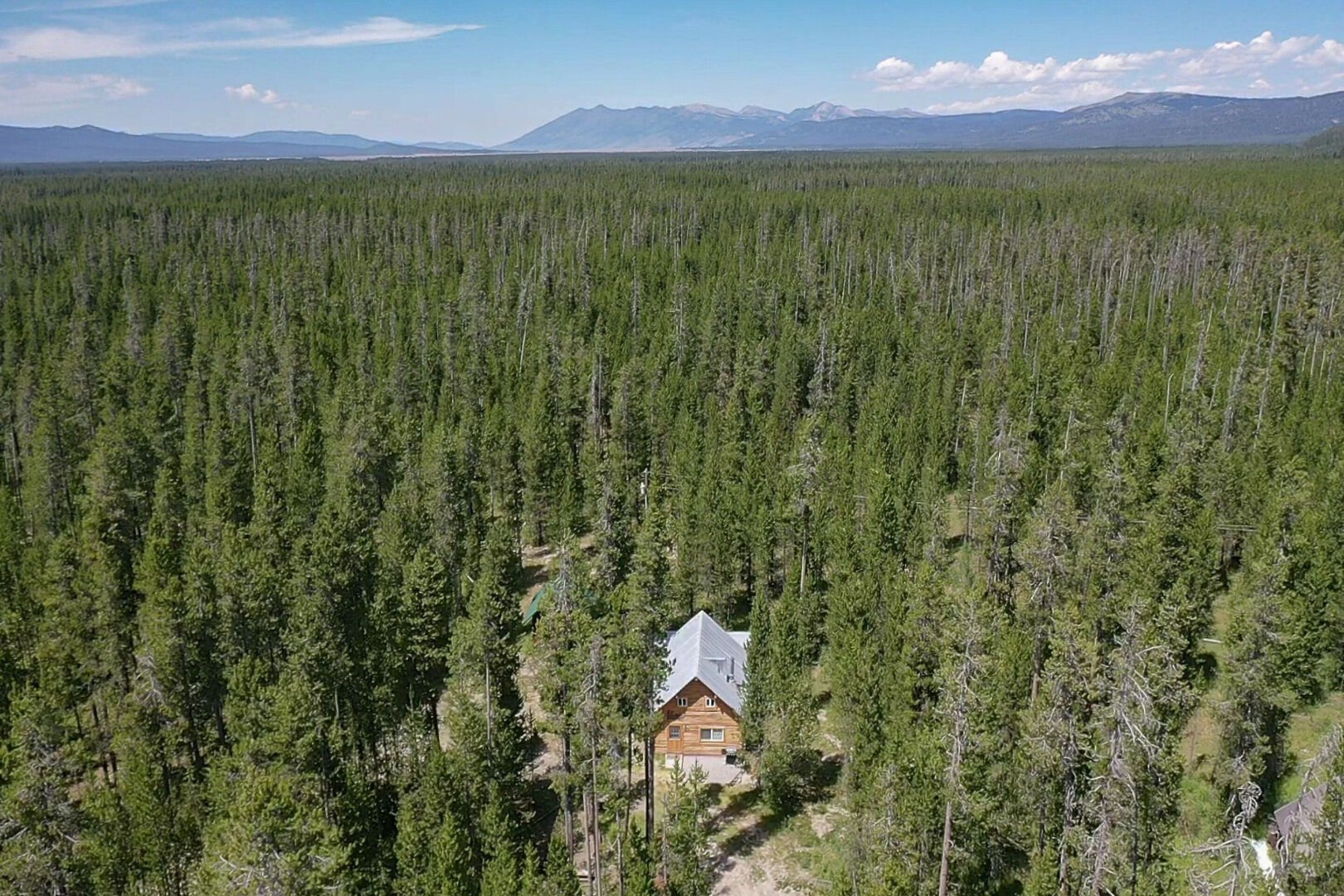 A remote cabin surrounded by dense forest with a clear view of distant mountains.