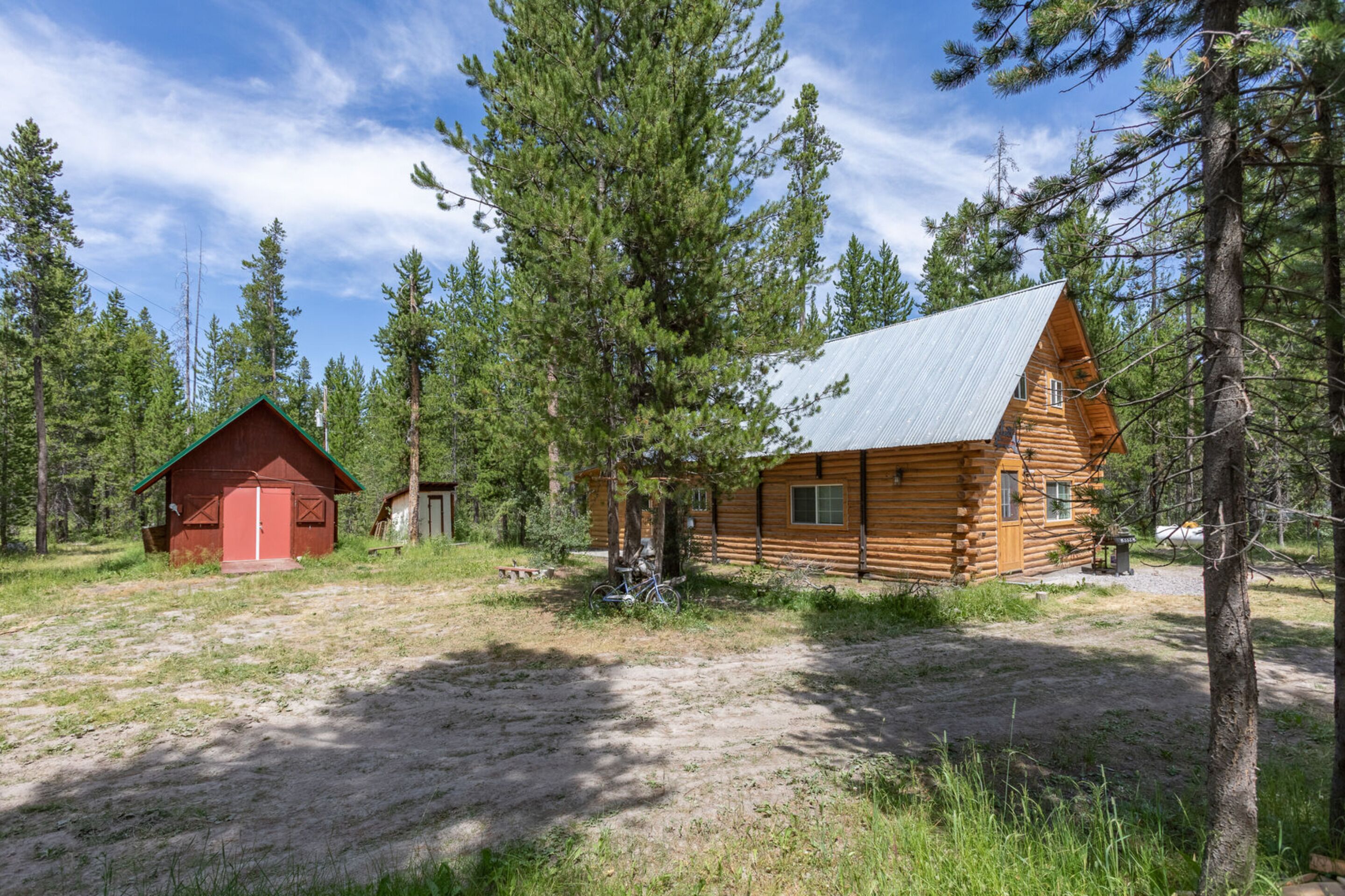 A log cabin with a metal roof, surrounded by tall pine trees.