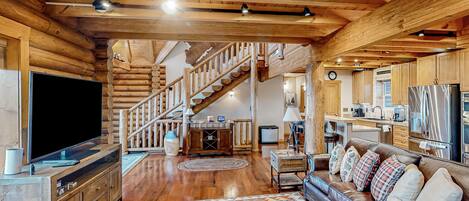 TV, fireplace, DVD player, video library