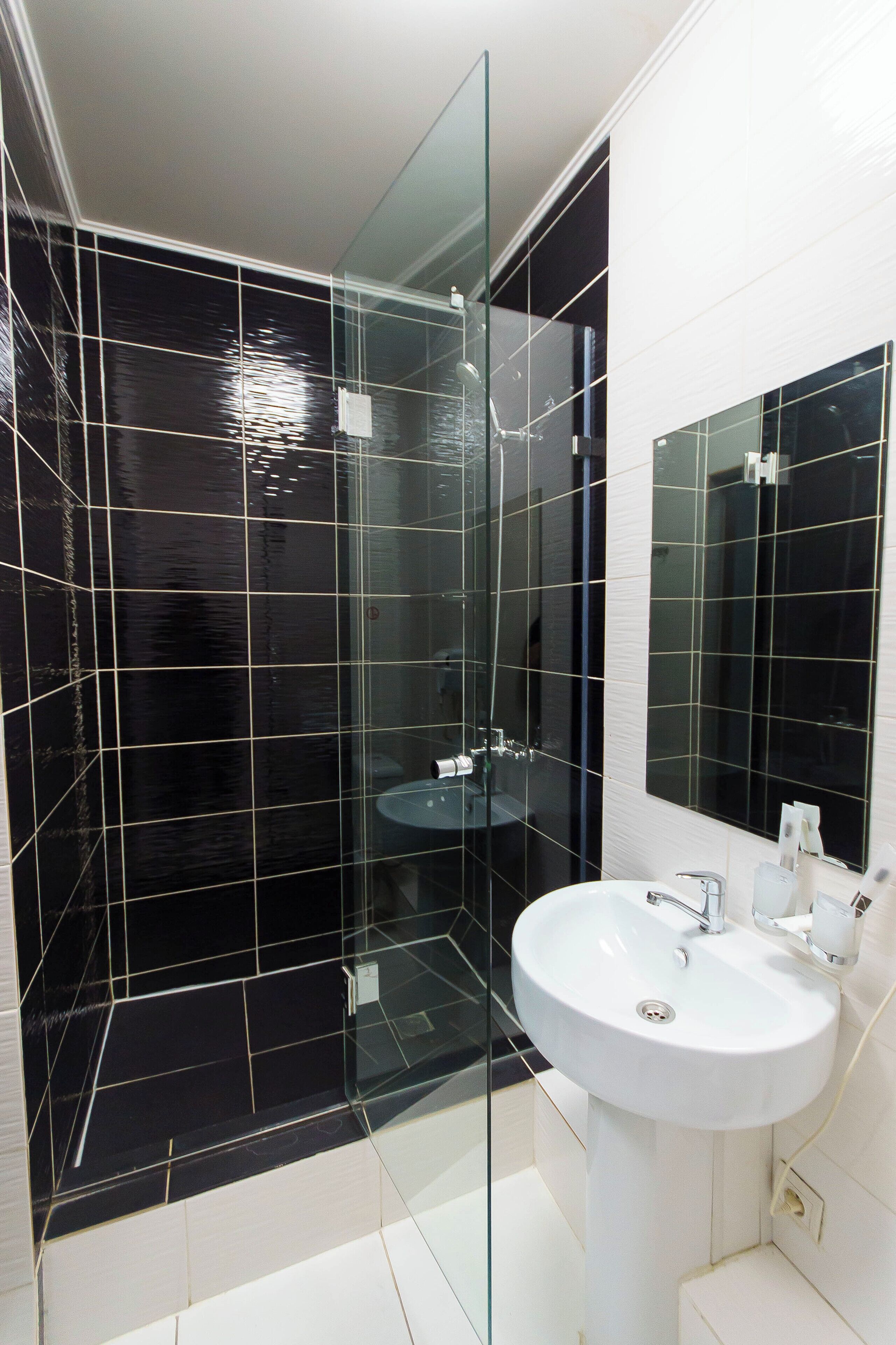 A modern bathroom with a glass shower enclosure, a white sink, and a large mirror.