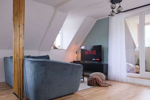 TV, video games, DVD player, books