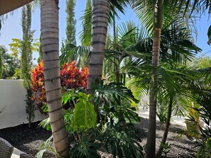 A tropical garden with palm trees and diverse foliage.