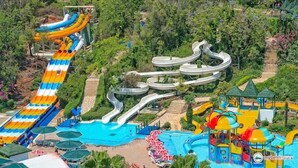 Un parque acuático con múltiples toboganes y piscinas.