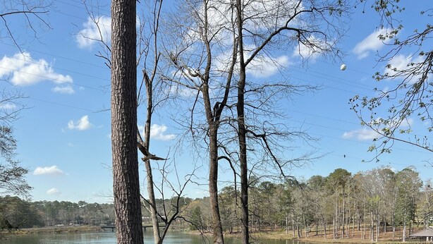 A lakeside deck with a fire pit, seating, and a dock extending into the water. - Thomas Mill Creek Lakefront Property  (Abbeville)
