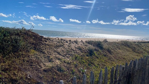 Een strand met een houten omheining op de voorgrond en een heldere lucht.