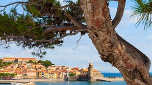 A coastal town with historic buildings, a prominent tower, and boats in the harbor.