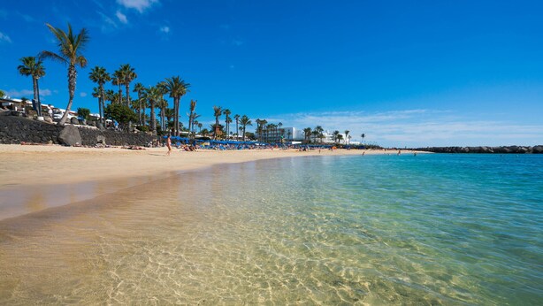 A clear beach with palm trees, a sandy shore, and calm water. - Relaxing Private Villa a Short Walk From Seafront (Playa Blanca)