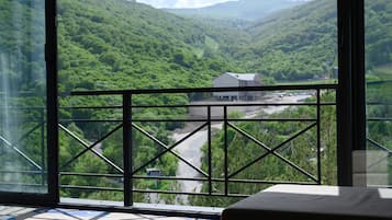 Suite ejecutiva | Vistas desde la habitación