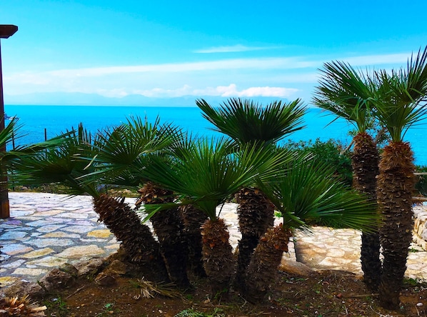 Une zone pavée de pierres, agrémentée de palmiers et offrant une vue sur la mer.