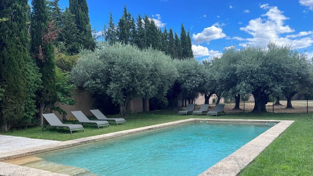 Une piscine rectangulaire bordée de pierres, entourée de pelouse et d’arbres.