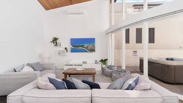 TV, fireplace, books