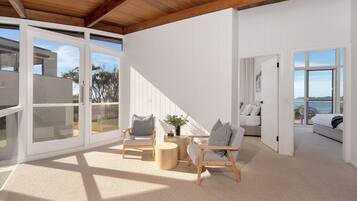 TV, fireplace, books