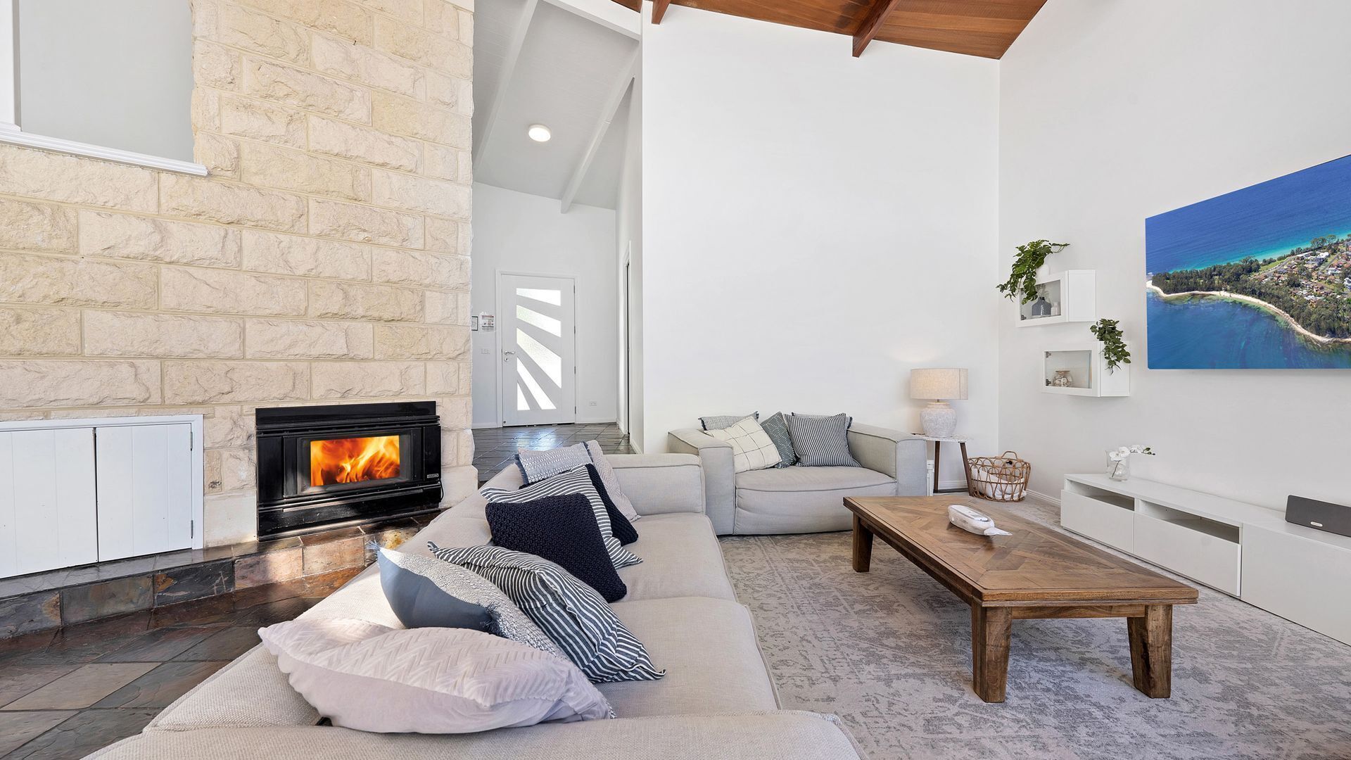 TV, fireplace, books