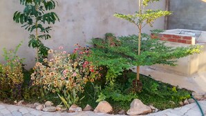 Ein Garten mit verschiedenen Pflanzen und Blumen, eine Betonmauer und ein kleines Backsteingebäude.