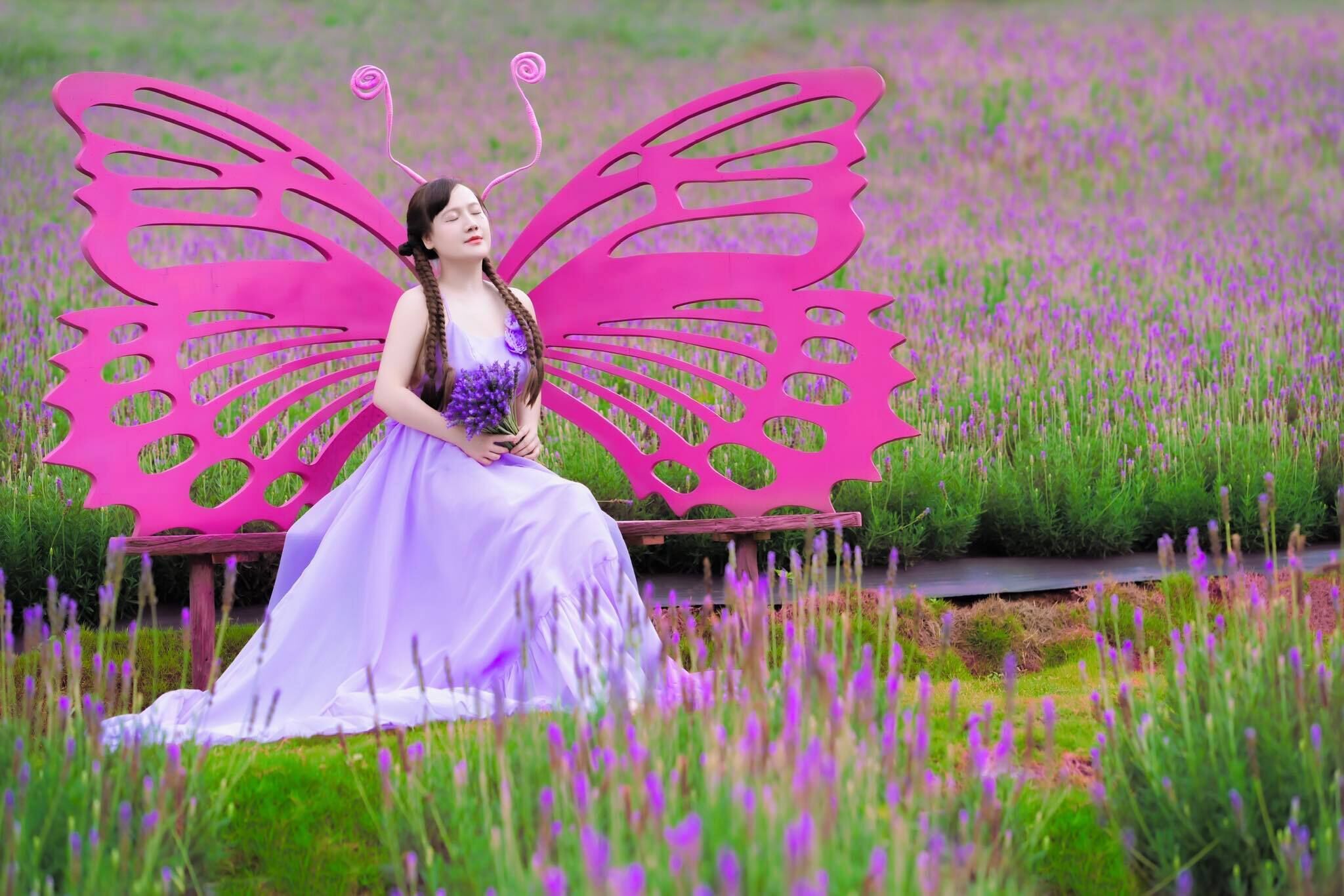 A person sitting on a bench with large pink butterfly wings in a field of purple flowers.