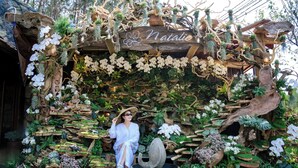 Uma pessoa sentada em frente a uma estrutura de madeira com o nome "Natalie" entalhado, cercada por diversas plantas e flores.
